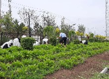 阴天适合做什么？当然是“斩草除根、辣手摧花”！