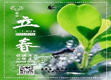 立春|牛年打春牛！春饼卷鹿肉！