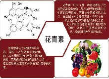 天然“防腐剂”，清除自由基，貌美更年轻！