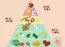 你知道你的器官爱吃什么食物嘛？最爱的食物全在这了！