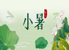 小暑消暑，以热制热方是王道！