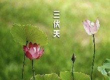 长达40多天的三伏天，别光顾着躲凉，是冬病夏治的好时机！